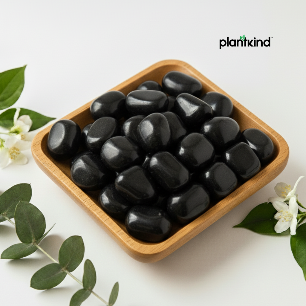 Plantkind Black Polished Pebbles 1 Kg | Garden Decors | Pack of 1