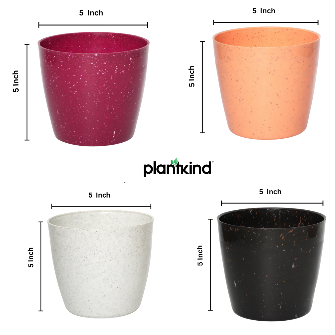 Plantkind Divinity Plastic Pots 5 Inch | Gardening Pot | Pack Of 1
