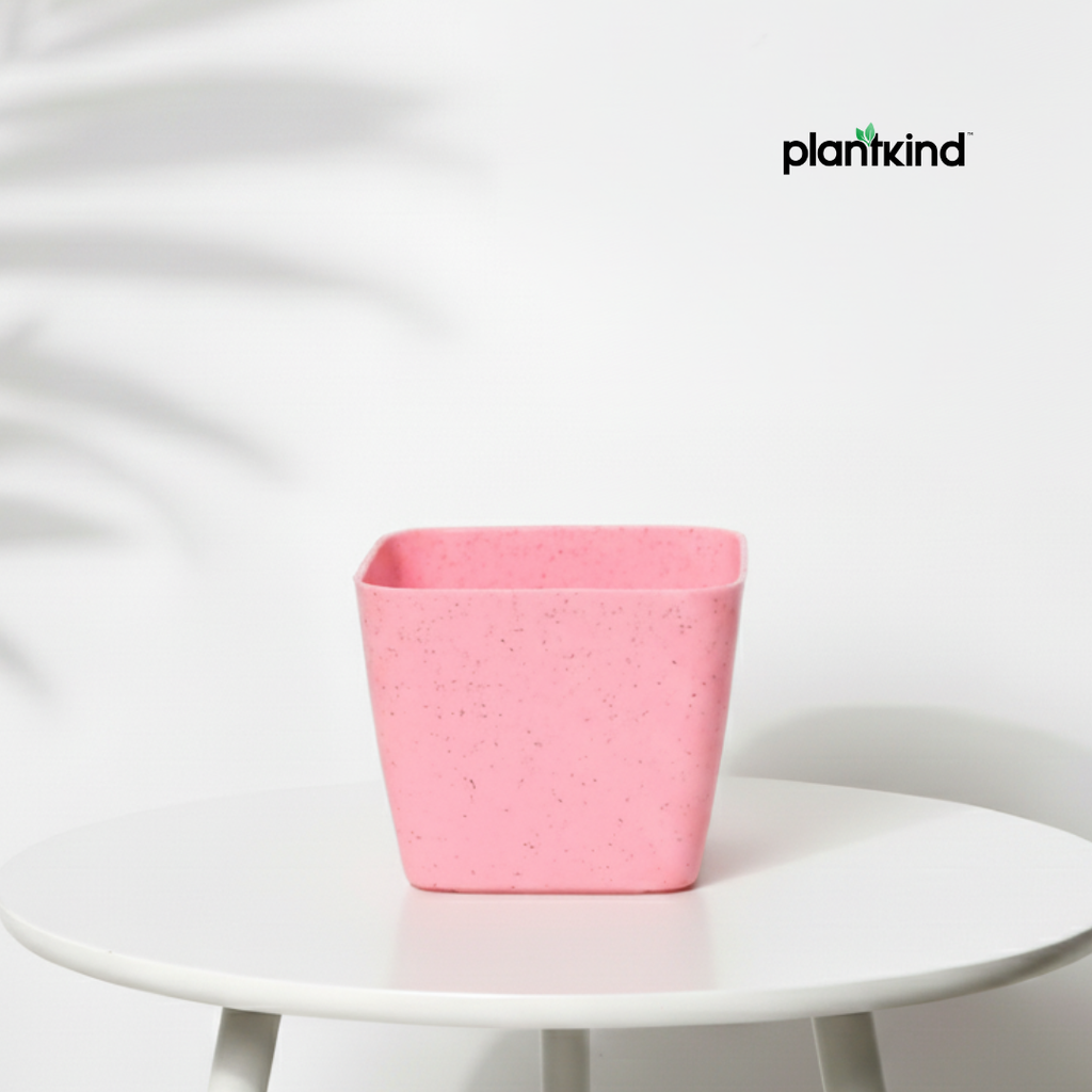 Plantkind Decor Plastic Pots 5 Inch | Gardening Pot | Pack Of 1