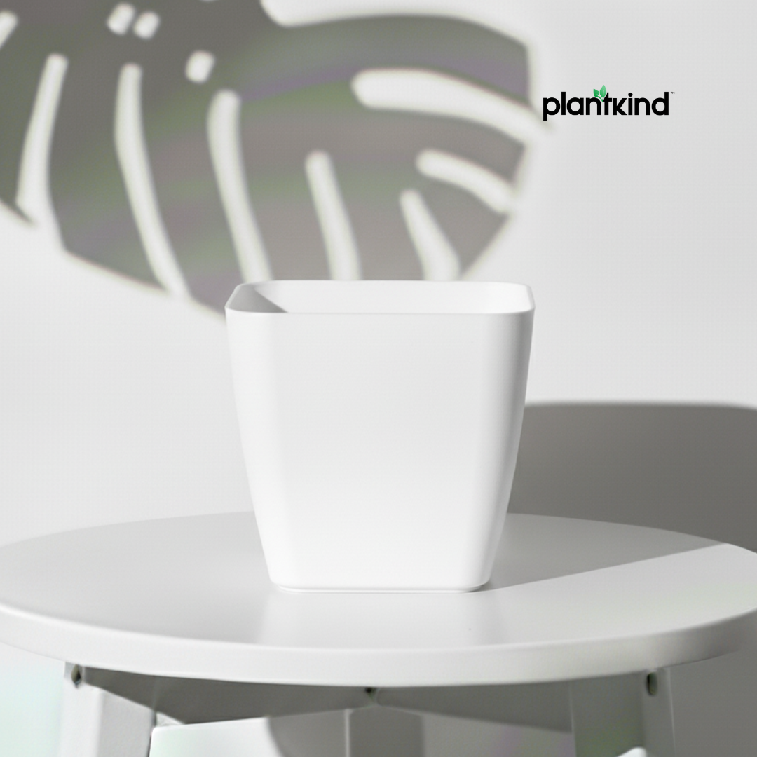 Plantkind Decor Plastic Pots 5 Inch | Gardening Pot | Pack Of 1