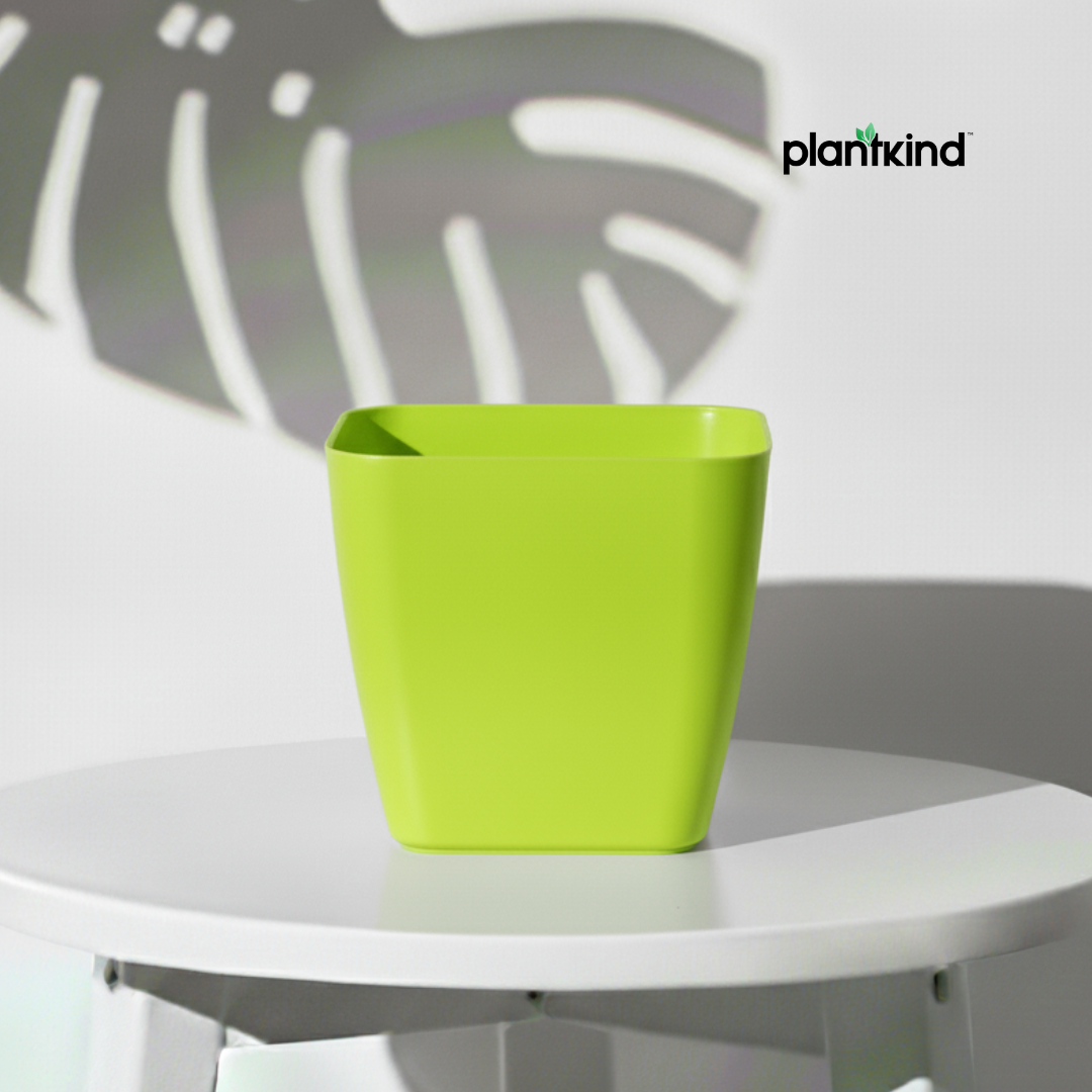 Plantkind Decor Plastic Pots 5 Inch | Gardening Pot | Pack Of 1