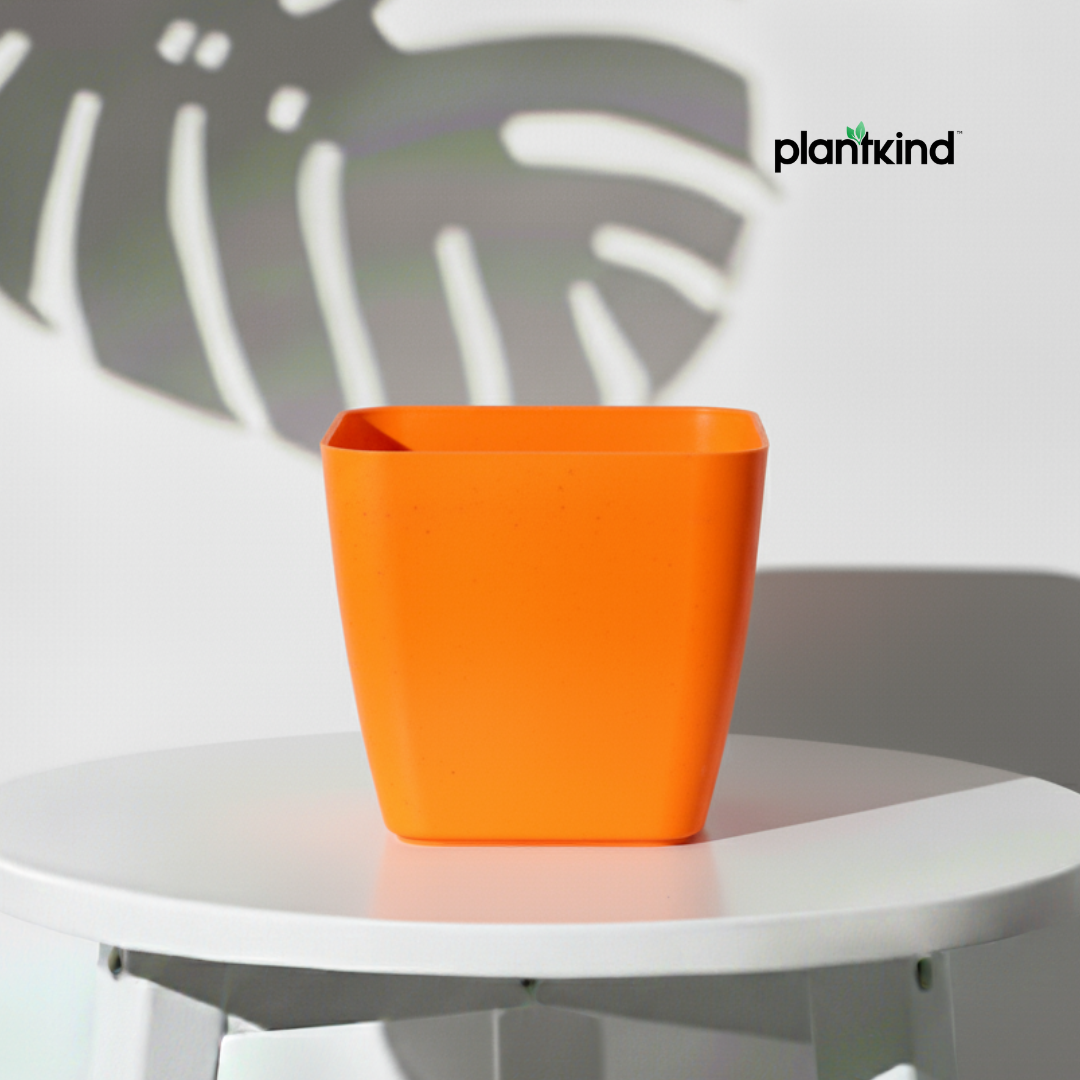 Plantkind Decor Plastic Pots 5 Inch | Gardening Pot | Pack Of 1