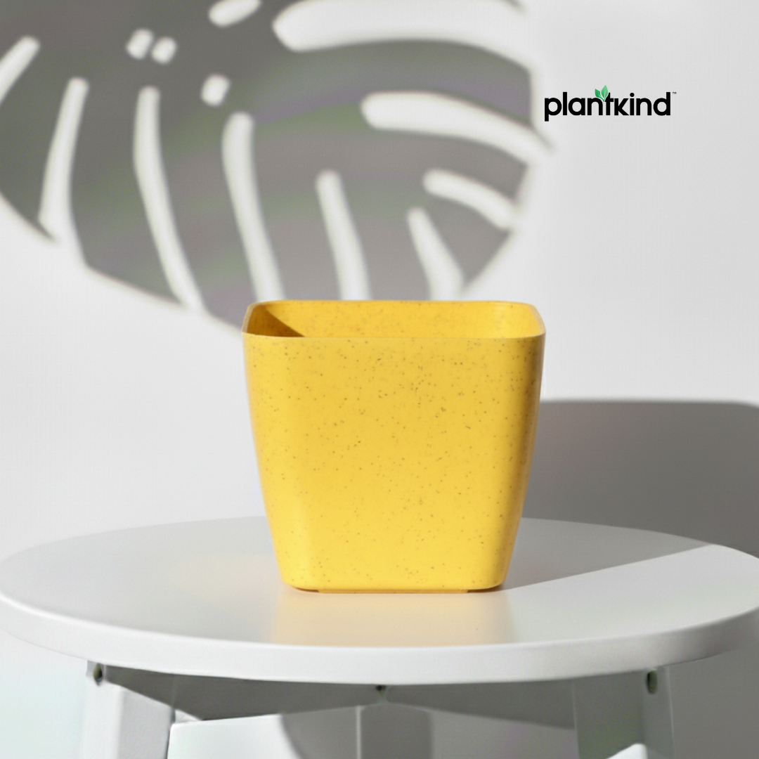Plantkind Decor Plastic Pots 5 Inch | Gardening Pot | Pack Of 1