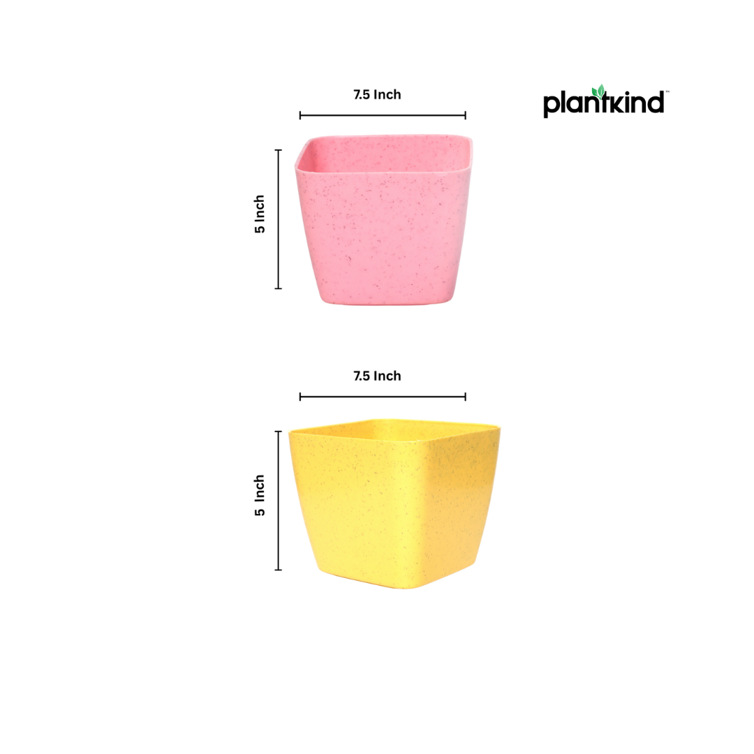 Plantkind Deco dot 7.5 Inch | Plastic Pot | Gardening Pot | Pack Of 1