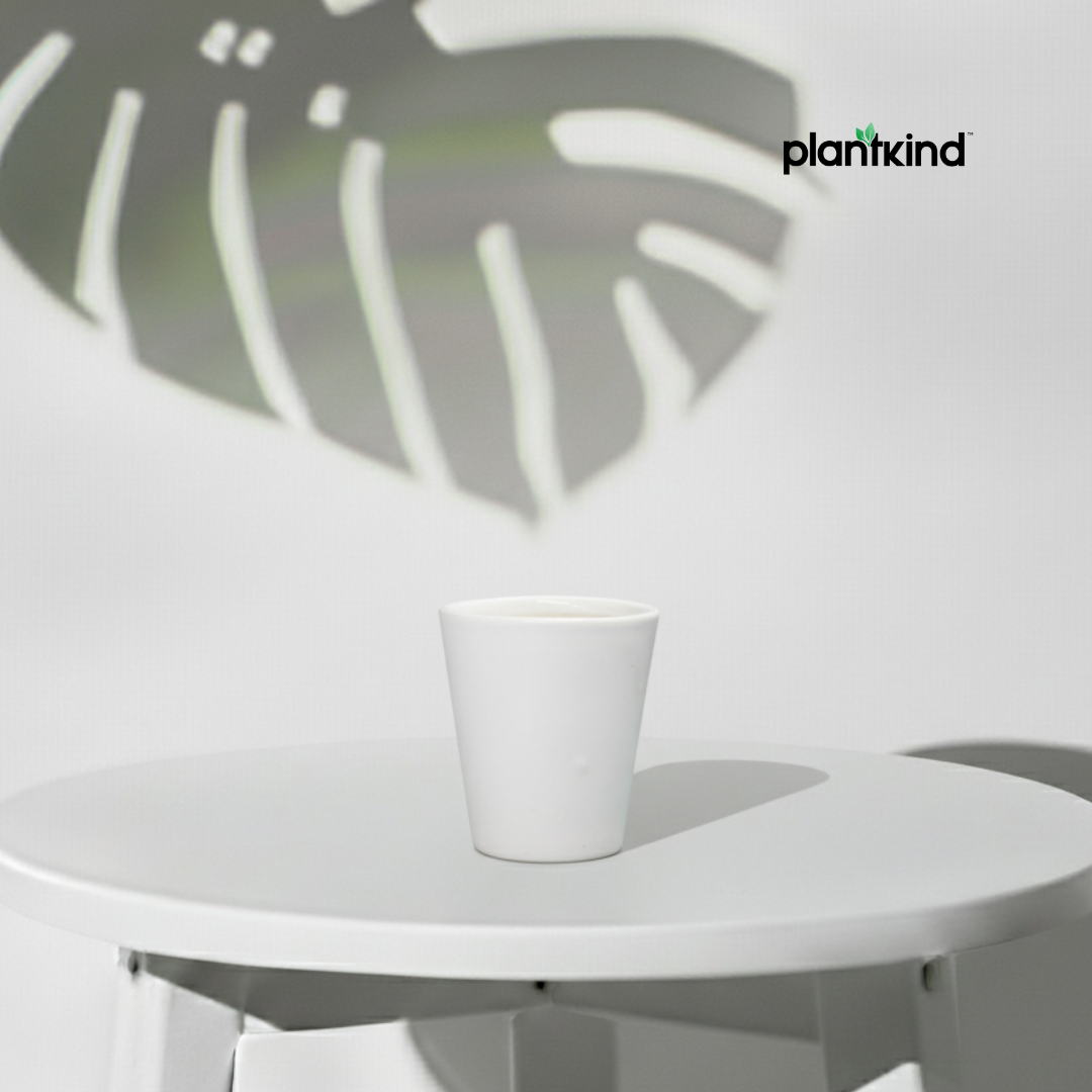 Plantkind Nova Ceramic Pot | Premium Ceramic Pot | Pack of 1