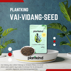 Vai-Vidang-Seed | Embelia Ribes | Natural Product | Pack Of 1 | 150g