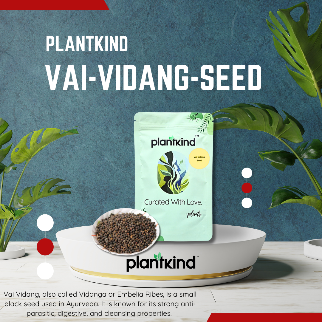 Vai-Vidang-Seed | Embelia Ribes | Natural Product | Pack Of 1 | 150g