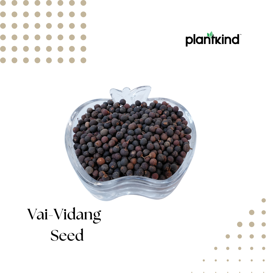 Vai-Vidang-Seed | Embelia Ribes | Natural Product | Pack Of 1 | 150g