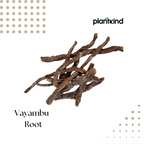 Vayambu Root | Herbal Root | Natural Ingredient | Pack of 1 | 100g