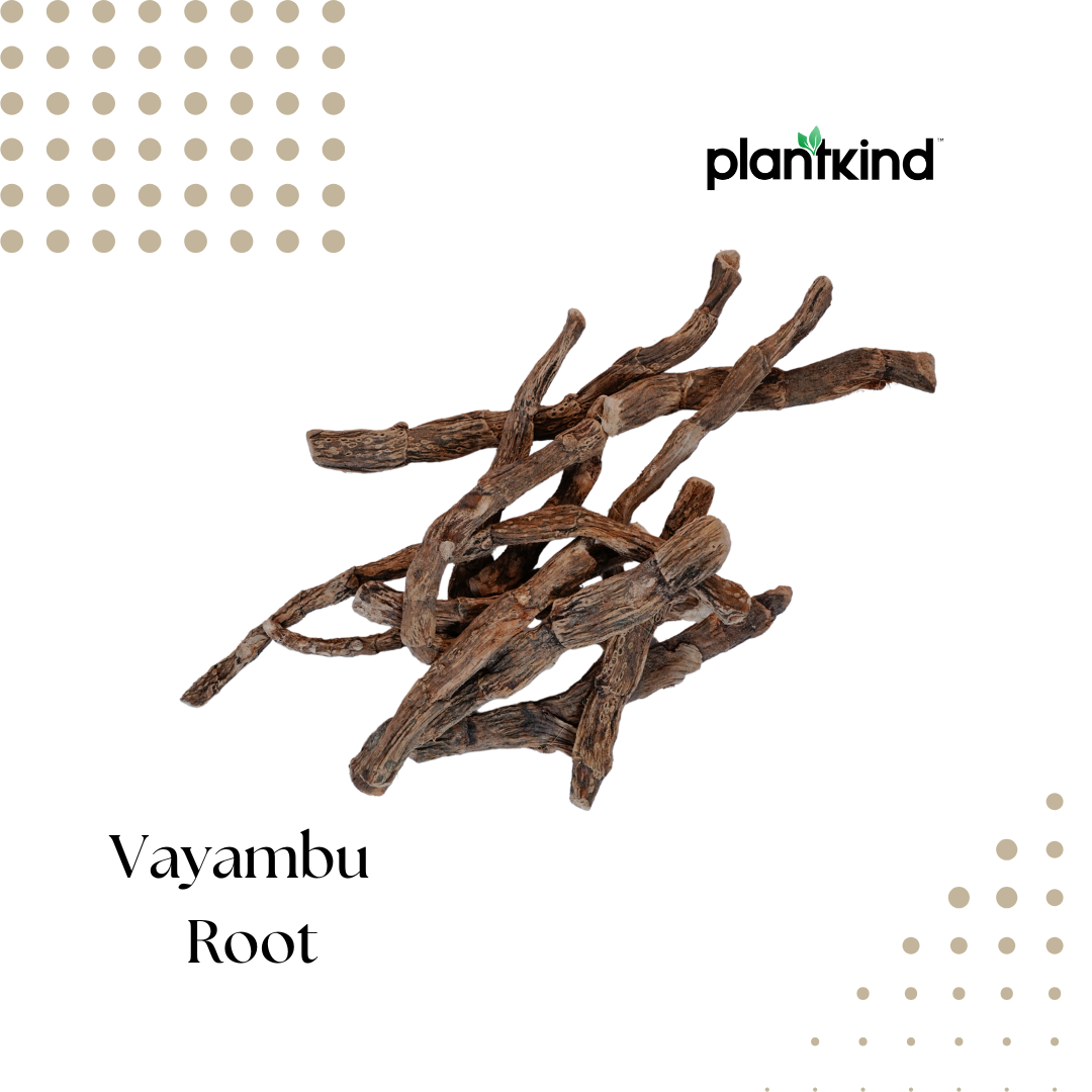 Vayambu Root | Herbal Root | Natural Ingredient | Pack of 1 | 100g
