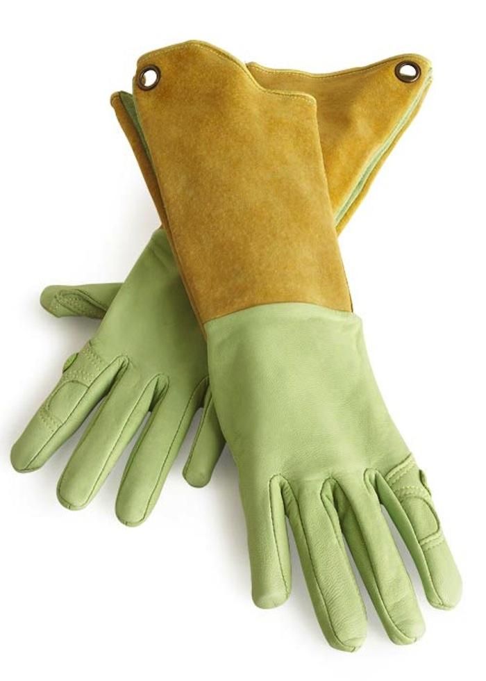 PLANTKIND Gardening Gloves | 1 pair