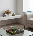 Plantkind Coloured Pebbles 1 kg | Garden Decors | Pack of 1